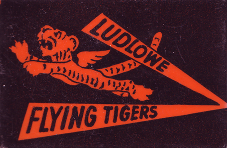tiger flying
